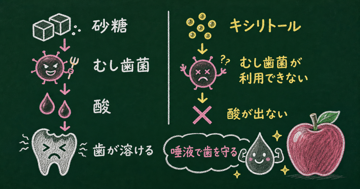 ■むし歯になりやすい糖類・なりにくい甘味料の違い